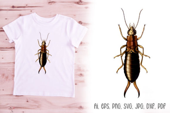 Earwig Insect Illustration: A Unique Logo & Design Asset